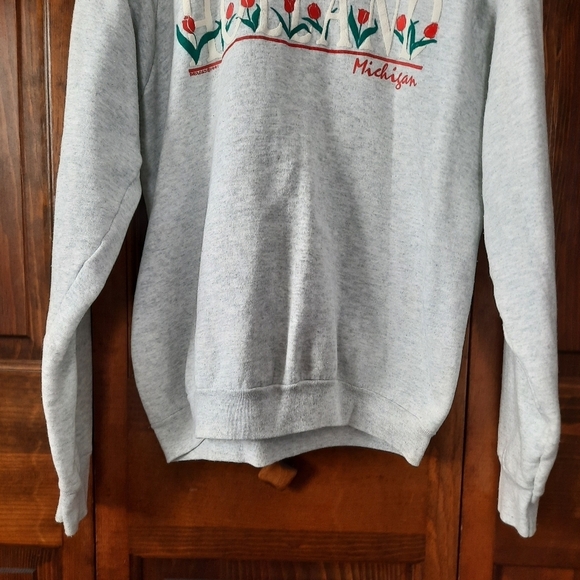 Vintage 1991 Holland Michigan tulips 3D spellout graphic gray raglan crewneck - Picture 3 of 13